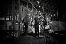 Steam Plains Shearing 022111  © Claire Parks Photography 